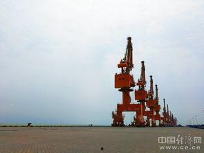 铁山港吃瓜,吃瓜群众的欢乐时光 第2张 铁山港吃瓜,吃瓜群众的欢乐时光 第2张