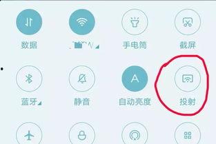 吃瓜视频可投屏,一键投屏,畅享娱乐新体验 第1张 吃瓜视频可投屏,一键投屏,畅享娱乐新体验 第1张