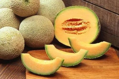 日本吃哈密瓜拉哈密瓜,哈密瓜拉哈密瓜的独特风味探索 第3张 日本吃哈密瓜拉哈密瓜,哈密瓜拉哈密瓜的独特风味探索 第3张