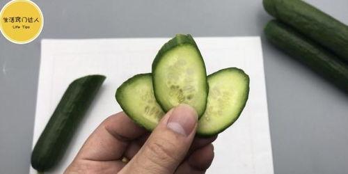 家里只有瓜怎么吃,一瓜解千愁,创意瓜食大揭秘 第1张 家里只有瓜怎么吃,一瓜解千愁,创意瓜食大揭秘 第1张