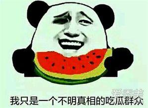 吃瓜群众到底吃的什么瓜,吃瓜群众究竟在品尝何种瓜果之谜 第3张 吃瓜群众到底吃的什么瓜,吃瓜群众究竟在品尝何种瓜果之谜 第3张