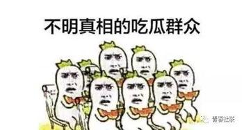 武汉吃瓜群众,揭秘城市生活百态  第1张