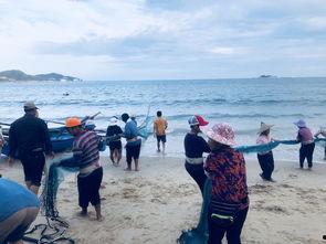 东山岛吃瓜,探寻海滨风情与美食诱惑 第2张 东山岛吃瓜,探寻海滨风情与美食诱惑 第2张