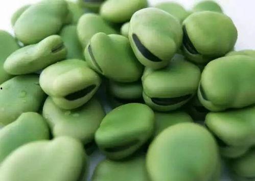 小金豆吃瓜,小金豆的夏日瓜果盛宴 第2张 小金豆吃瓜,小金豆的夏日瓜果盛宴 第2张