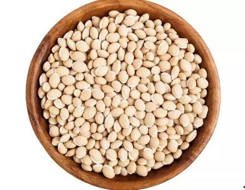 小金豆吃瓜,小金豆的夏日瓜果盛宴 第3张 小金豆吃瓜,小金豆的夏日瓜果盛宴 第3张