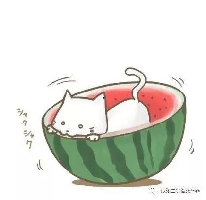 卡通人吃瓜头像,趣味横生瞬间捕捉 第2张 卡通人吃瓜头像,趣味横生瞬间捕捉 第2张
